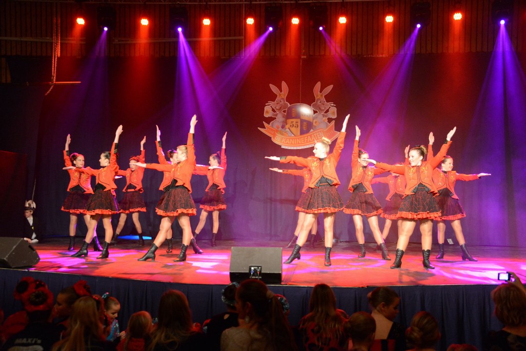 ../Images/Dansmarieke festival 2015 188.jpg